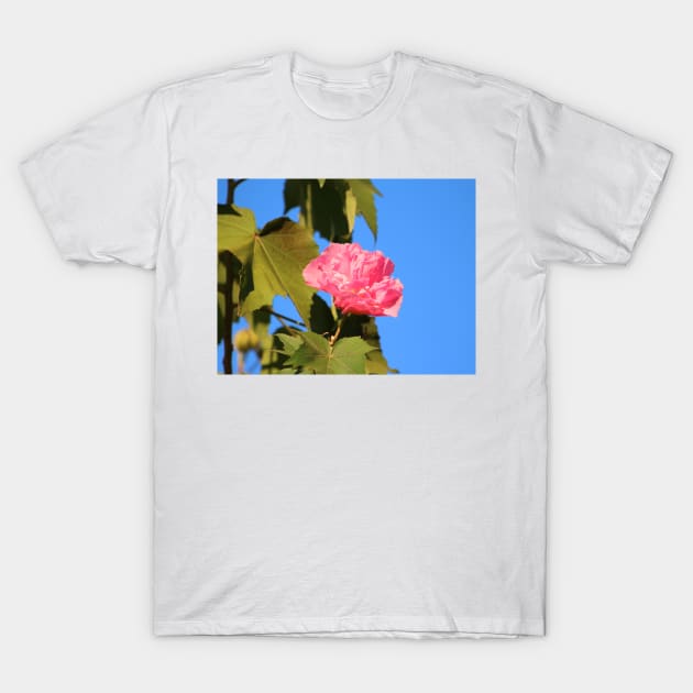 One Pink Flower T-Shirt by Cynthia48